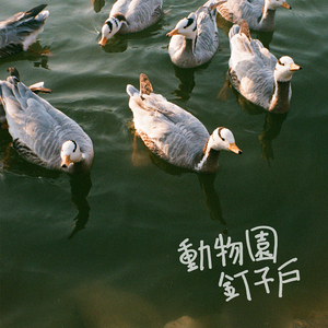 黑人异族XXXⅩ吊大i
